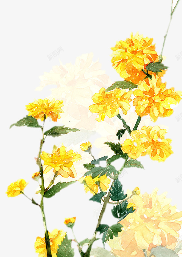 二十四番花信风立春一候迎春png免抠素材_新图网 https://ixintu.com 二十四节气 单页 插画 春天 海报 点缀 立春 花朵 装饰 迎春 黄色