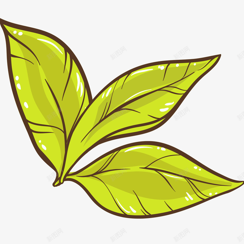 绿茶茶叶插画矢量图ai免抠素材_新图网 https://ixintu.com 免抠PNG 植物 现摘茶叶 绿色叶子 绿茶茶叶矢量插画 茶叶 矢量图