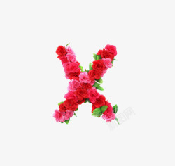 情人节字体x英文字母花朵元素高清图片