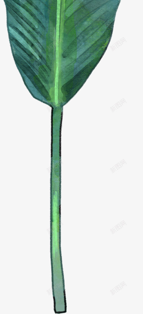 手绘一片芭蕉叶装饰png免抠素材_新图网 https://ixintu.com 叶子 广告设计 手绘清新文艺绿叶 海报设计 清新装饰 绿叶 绿叶装饰插画 芭蕉叶