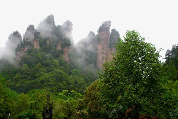 张家界森林树木png免抠素材_新图网 https://ixintu.com 山 张家界 旅游 森林 风景