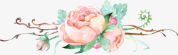 手绘玫瑰花插画展板素材