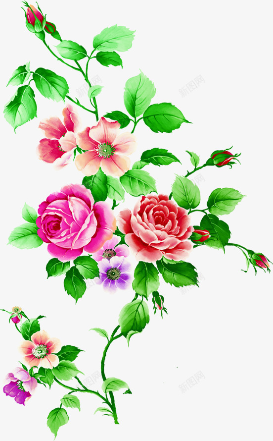 盛放的牡丹花手绘七夕情人节png免抠素材_新图网 https://ixintu.com 情人 牡丹花 盛放