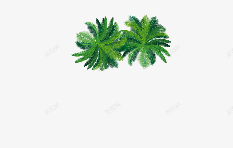 椰树海边度假植物psd免抠素材_新图网 https://ixintu.com 椰树海边度假植物