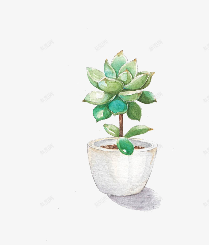 水彩手绘多肉植物png免抠素材_新图网 https://ixintu.com 多肉 手绘 插画 植物 水彩 水粉