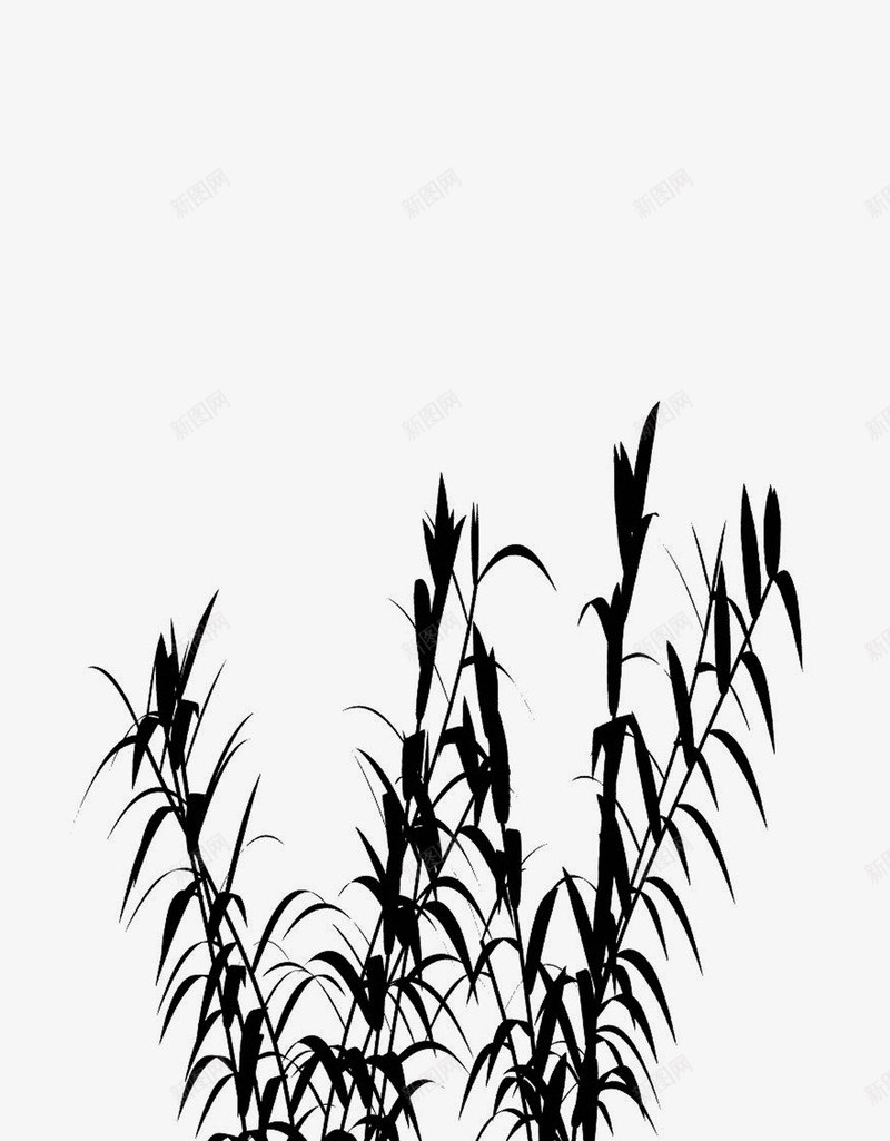 竹子竹叶水墨画中国画png免抠素材_新图网 https://ixintu.com 中国画 水墨画 竹叶 竹子