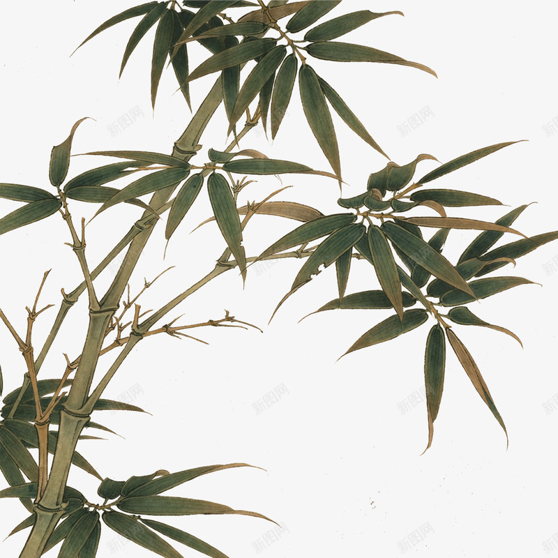 竹子png免抠素材_新图网 https://ixintu.com 竹叶 竹子 竹节 绿色 节节高