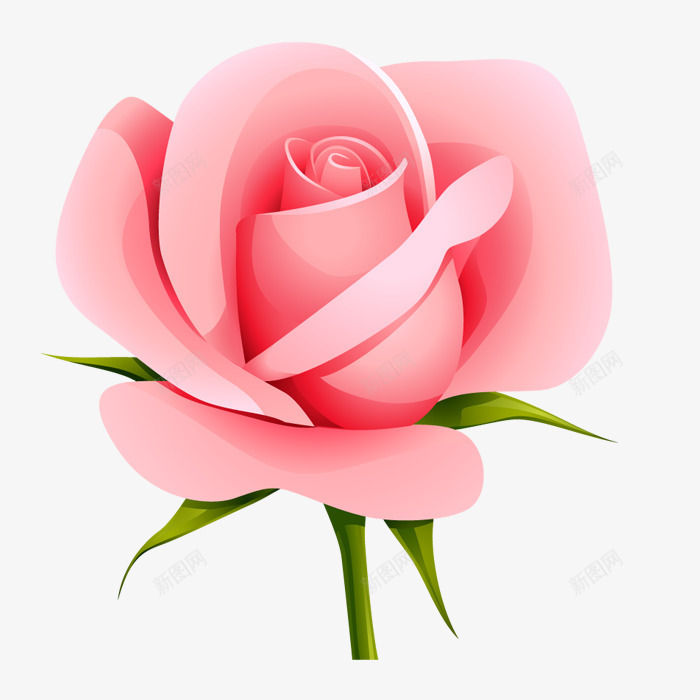 手绘粉色玫瑰花png免抠素材_新图网 https://ixintu.com 一朵玫瑰 情人节 手绘玫瑰 插画 爱情 粉色玫瑰花 花朵