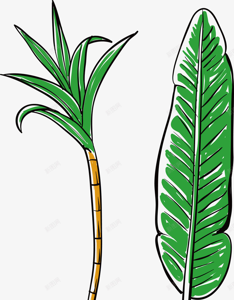 手绘热带植物甘蔗芭蕉矢量图ai免抠素材_新图网 https://ixintu.com 手绘 泰国 热带植物 甘蔗 矢量png 矢量图 竹蔗 绿色植物 芭蕉 装饰插画