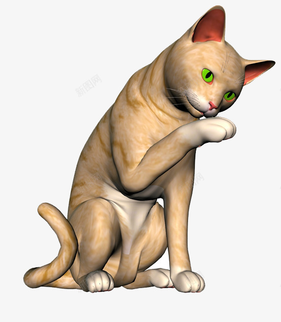 呆萌的小猫png免抠素材_新图网 https://ixintu.com 动物 喵咪 小猫 猫
