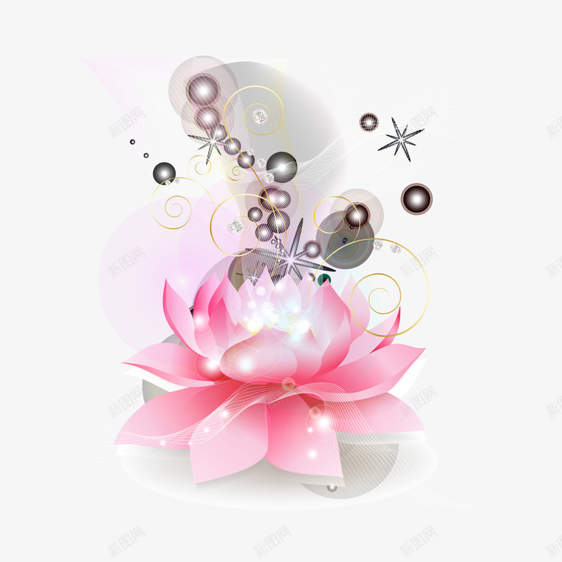 装饰粉红色莲花矢量图ai免抠素材_新图网 https://ixintu.com 粉红色 莲花 装饰 矢量图