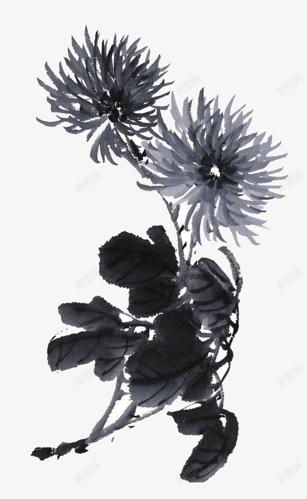 雏菊png免抠素材_新图网 https://ixintu.com 墨 墨水 墨水画 墨迹 雏菊