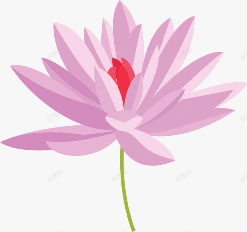 粉红美丽夏天莲花矢量图ai免抠素材_新图网 https://ixintu.com 夏天 夏天莲花 矢量png 粉色莲花 美丽莲花 莲花 矢量图