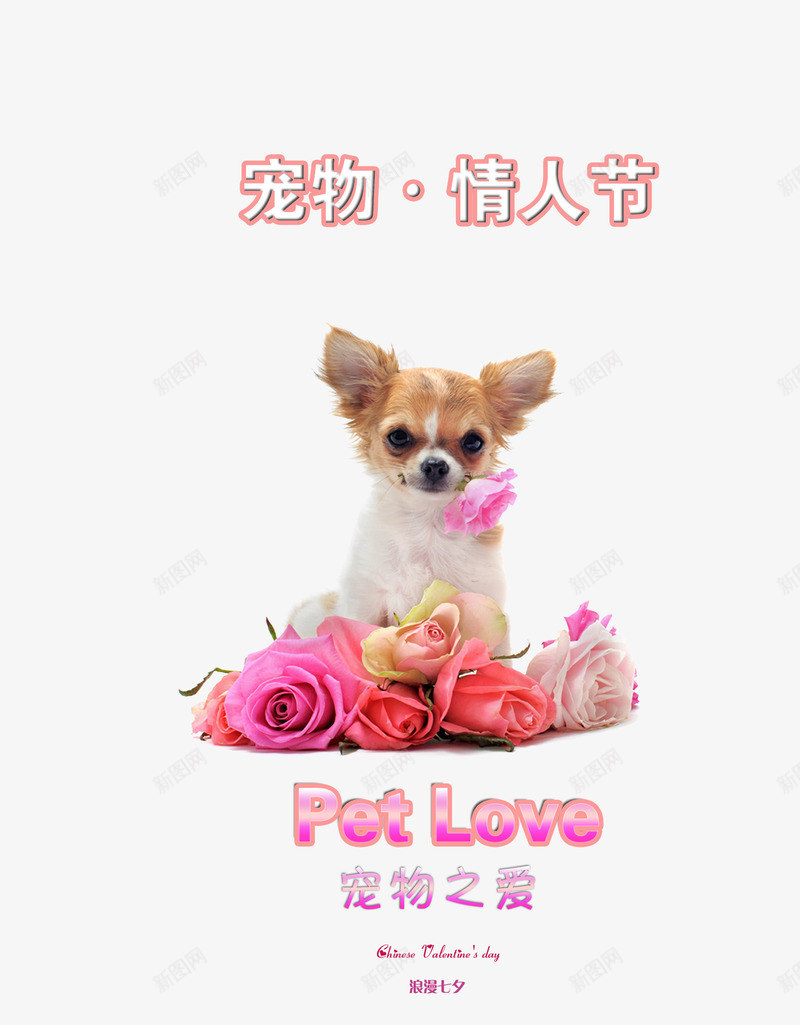 情人节海报png免抠素材_新图网 https://ixintu.com 宠物 宠物狗 广告设计模板 情人节海报模板下载 情人节海报素材下载 海报设计 狗狗 粉红背景 粉色 花朵