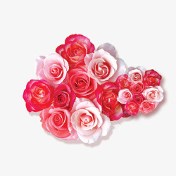 情人节红色粉色玫瑰花素材