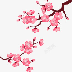 樱花树枝装饰粉色梅花装饰图案高清图片