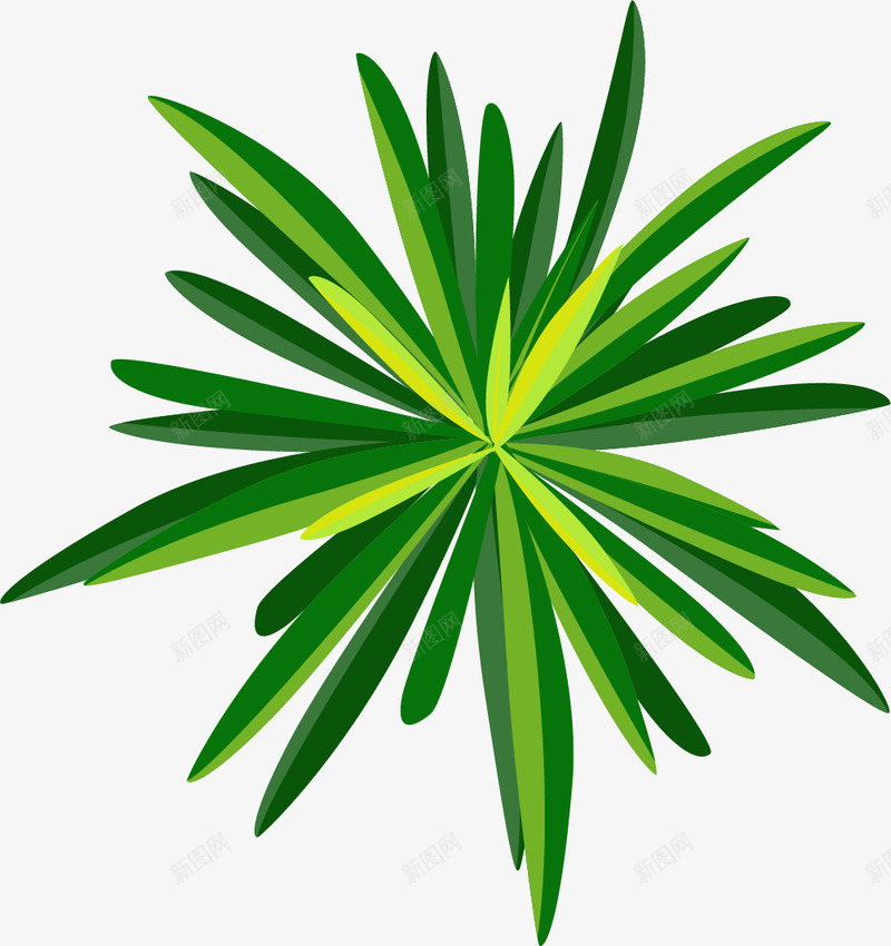 草绿色卡通绿植png免抠素材_新图网 https://ixintu.com 卡通植物 家庭 家庭绿植 植物 绿色植物 草绿色