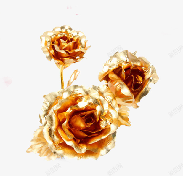 金箔玫瑰花png免抠素材_新图网 https://ixintu.com amp 情人节 爱情 玫瑰花 花朵 金玫瑰 金箔 金箔玫瑰 金色 金花 金质花朵 镀金 黄金玫瑰