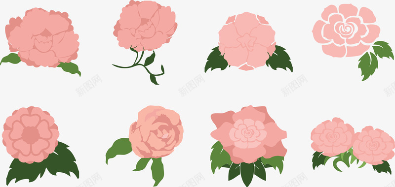 银莲花粉红色的甜蜜矢量图eps免抠素材_新图网 https://ixintu.com 甜蜜 粉红色 银莲花 矢量图