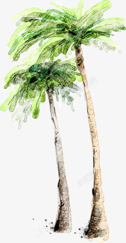 沙滩海边插画植物绿色椰子树素材