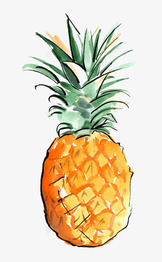 菠萝png免抠素材_新图网 https://ixintu.com 卡通 手绘 插画 文艺 水彩 水果 清新 菠萝