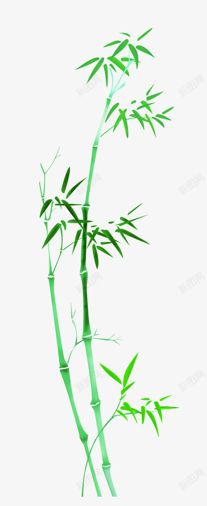 卡通竹叶手绘卡通清png免抠素材_新图网 https://ixintu.com 卡通竹子素材 手绘竹叶素材 植物 竹 竹叶 竹叶素描 竹子 竹子图片