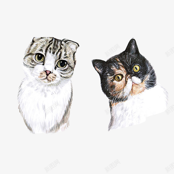 可爱动物小猫咪png免抠素材_新图网 https://ixintu.com png图片 动物 可爱 宠物 小猫咪