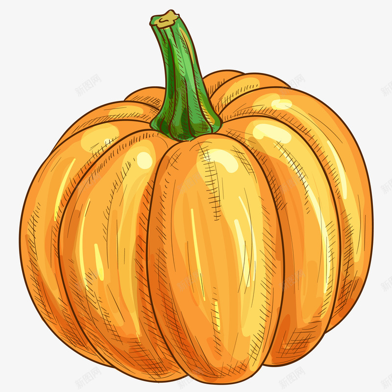 新鲜老南瓜手绘插画矢量图ai免抠素材_新图网 https://ixintu.com 健康 农业 南瓜 南瓜金瓜 新鲜老南瓜手绘插画 智慧农业 椭圆南瓜 矢量图 秋分 秋收 维生素 蔬菜