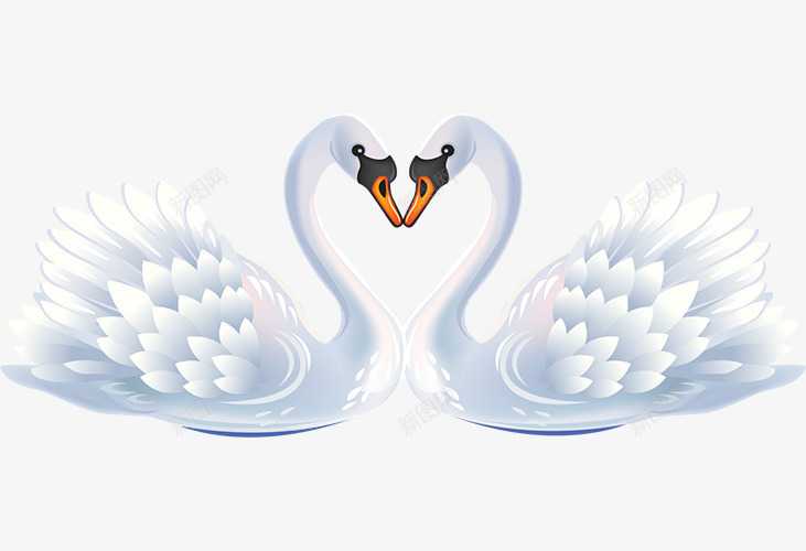 白色情人节天鹅爱心png免抠素材_新图网 https://ixintu.com 天鹅 婚庆 婚礼 心形 情人节爱心 浪漫 爱情