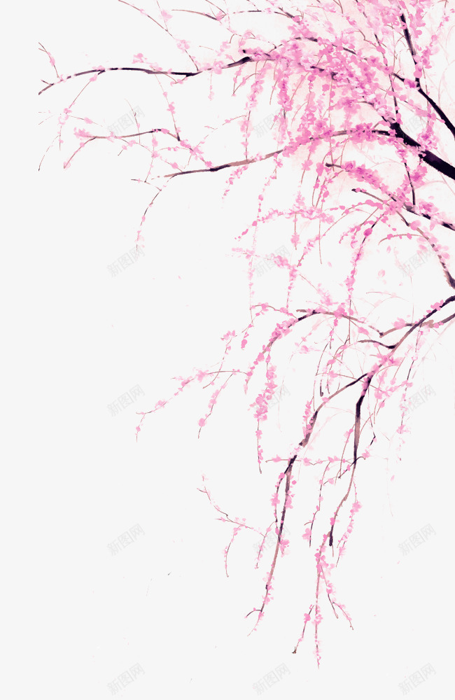 桃花盛开手绘插画png免抠素材_新图网 https://ixintu.com 春天 树枝 桃花 桃花树 桃花盛开手绘插画 粉色 踏青