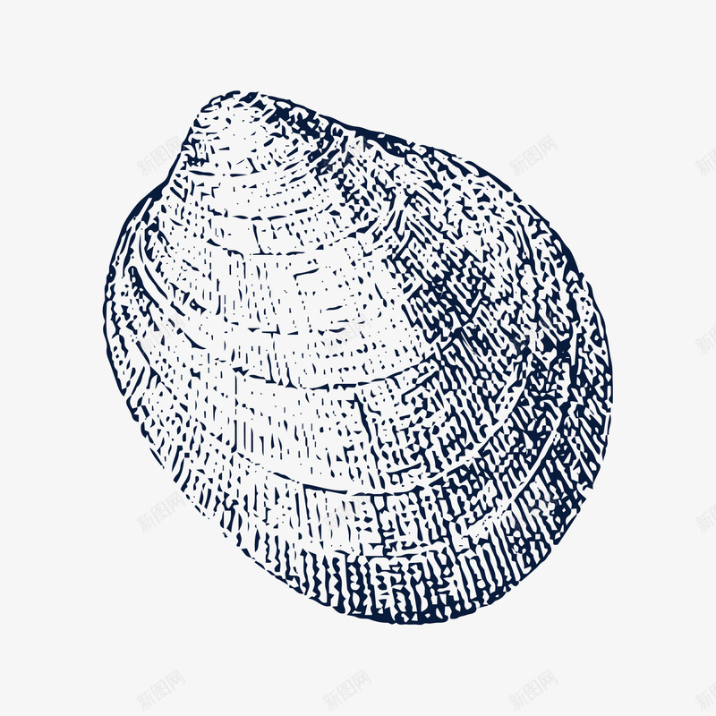 手绘花蛤贝壳图标png_新图网 https://ixintu.com 夏天海边 夏天海边海报 手绘贝壳 插画 沙滩 海洋生物 海鲜 生鲜 贝壳 贝壳素描 贝壳花纹 贝壳装饰 贝类 软体动物