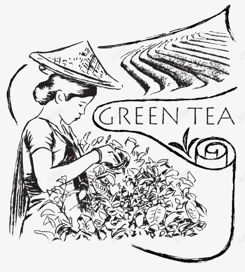 采茶姑娘png免抠素材_新图网 https://ixintu.com GREEN TEA 农忙 女孩 姑娘 绿茶 茶叶 茶叶制作 茶田 采摘 采茶 采茶姑娘 黑白插画