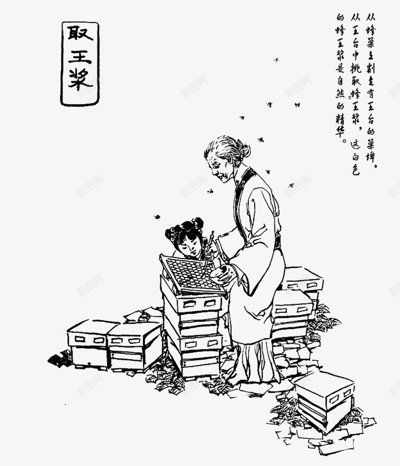 取蜂蜜的老妇人png免抠素材_新图网 https://ixintu.com 养蜂 养蜂的老人 取王浆 小女孩 插画