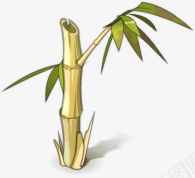 卡通竹子png免抠素材_新图网 https://ixintu.com 卡通 树木 植物 竹子