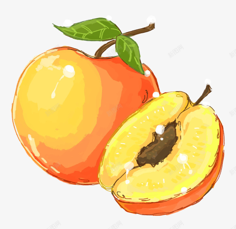 手绘黄桃水果元素psd免抠素材_新图网 https://ixintu.com 手绘插画 手绘水果 手绘黄桃 水果 装饰图案 黄桃