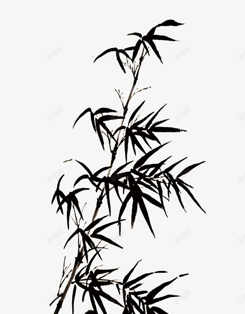 竹子竹叶竹树psd免抠素材_新图网 https://ixintu.com 竹叶 竹子 竹树