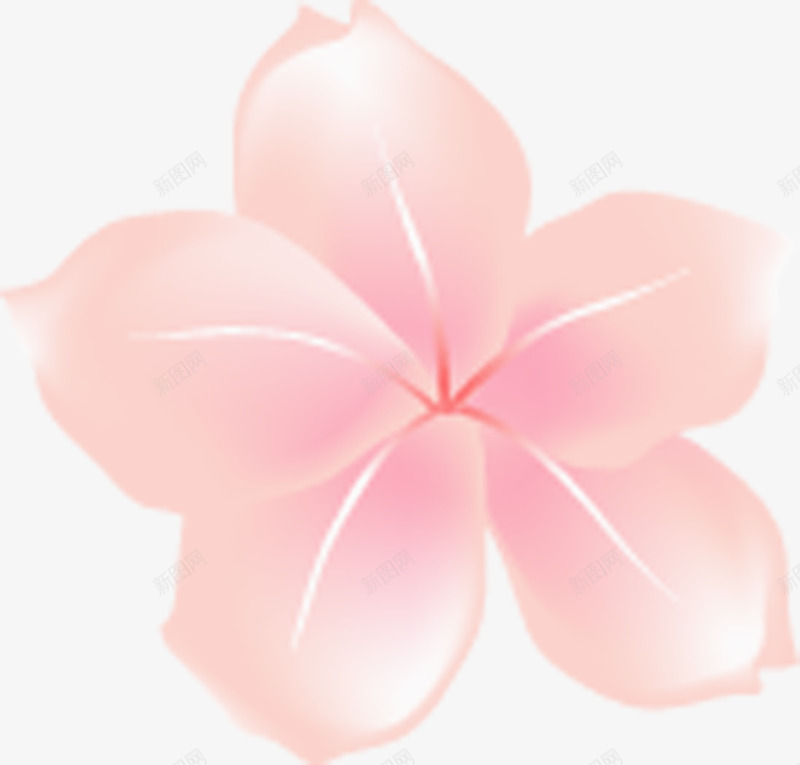 粉色手绘花朵七夕情人节png免抠素材_新图网 https://ixintu.com 情人 粉色 花朵