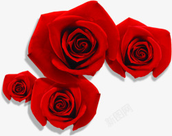 玫瑰花情人节花朵素材