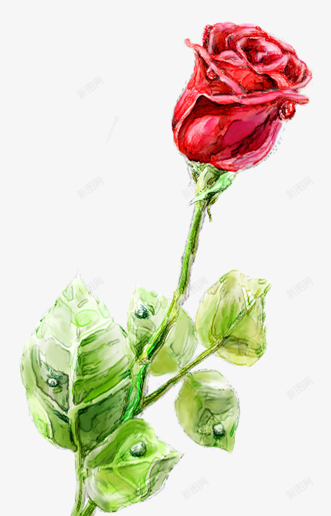 彩铅手绘素描小清新简约红玫瑰png免抠素材_新图网 https://ixintu.com 七夕 单只玫瑰花 小清新 彩铅 彩铅素描 恩爱 情人节 手绘 爱情 玫瑰花 简约 素雅 红玫瑰