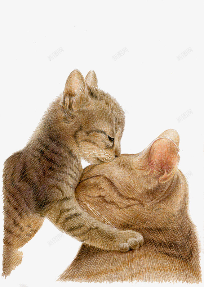 可爱猫咪插画图png免抠素材_新图网 https://ixintu.com 可爱 手绘图 猫咪 萌物