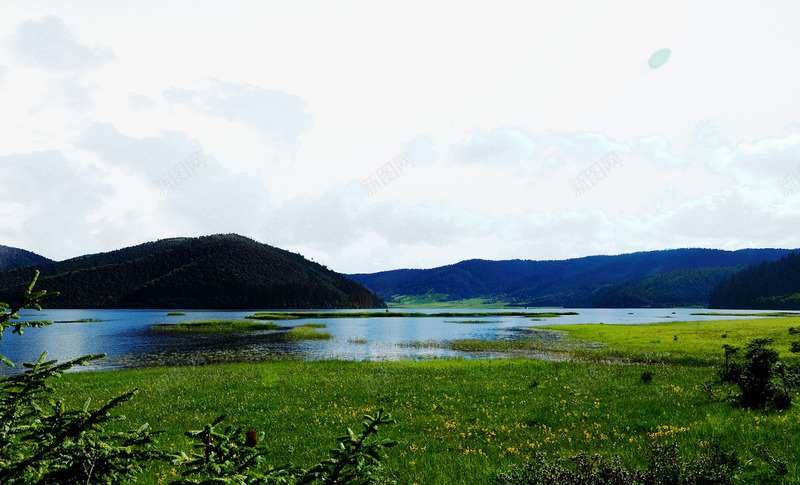 普达措森林公园摄影图png免抠素材_新图网 https://ixintu.com 名胜古迹 地方景点 实物图 摄影图 普达措 森林公园 高清图片