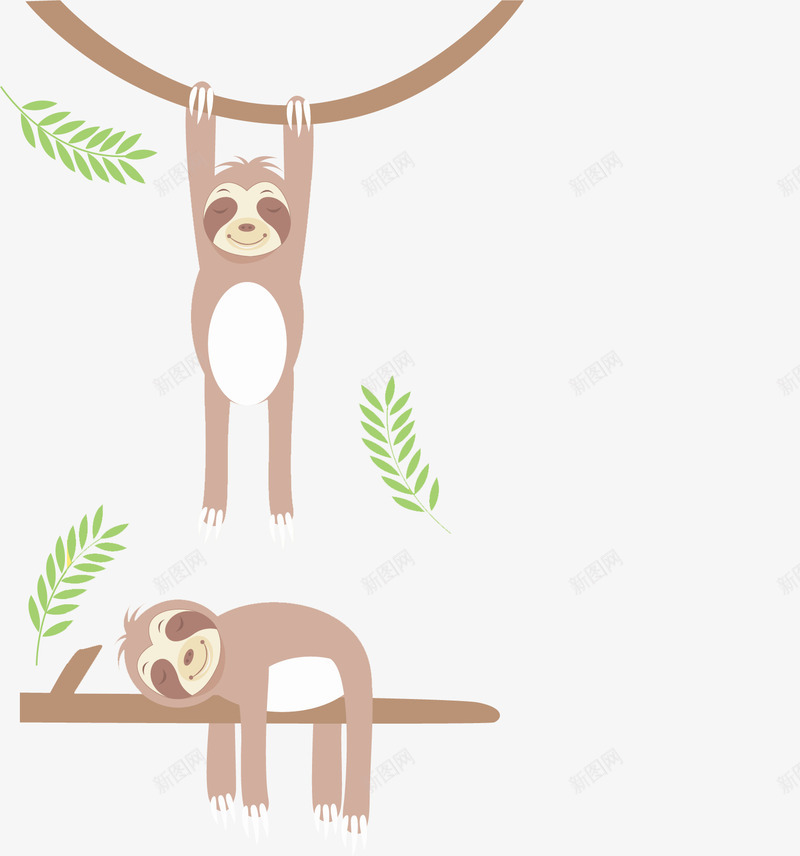 两只树獭在亚马逊png免抠素材_新图网 https://ixintu.com 两只 亚马逊 亚马逊森林 亚马逊雨林 森林 雨林