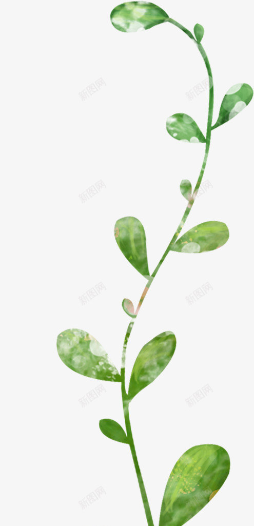 花草标签手绘装饰图标png_新图网 https://ixintu.com 卡通装饰素材 水彩花草 花草图案 装饰图标 鲜花花草