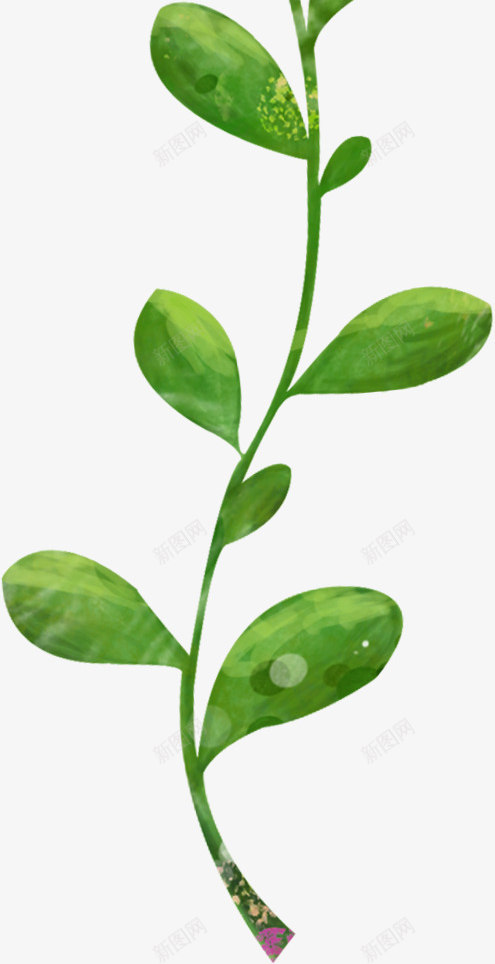 花草标签手绘装饰图标png_新图网 https://ixintu.com 卡通装饰素材 水彩花草 花草图案 装饰图标 鲜花花草