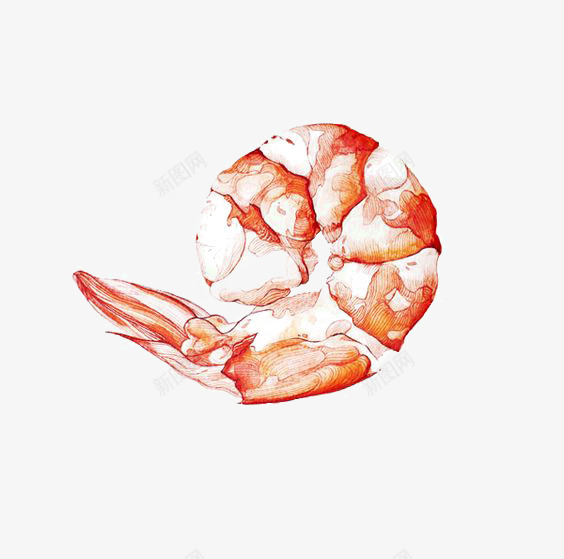 虾仁png免抠素材_新图网 https://ixintu.com 卡通 手绘 插画 文艺 水产 水彩 海鲜 清新 美食 虾仁