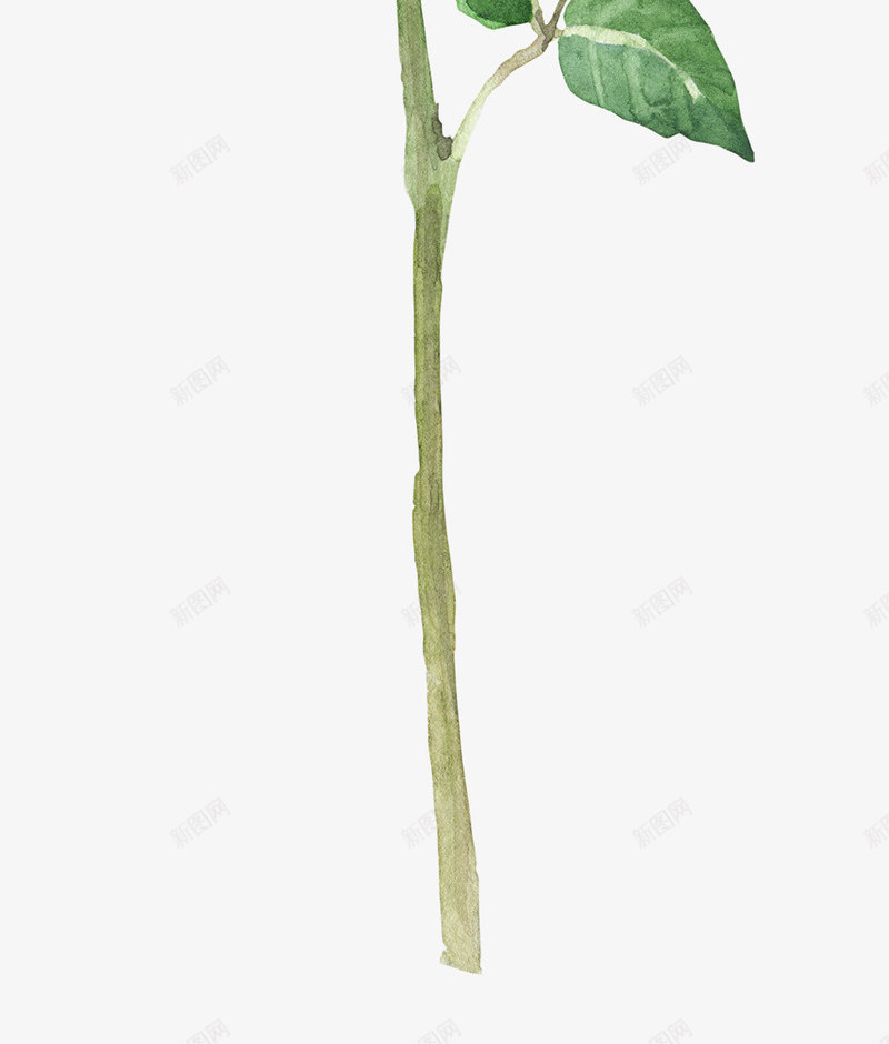 手绘玫瑰花卉花朵png免抠素材_新图网 https://ixintu.com 小清新花草装饰 布料印花 文艺花草 植物插画 海报设计 玫瑰花 花草包装礼盒 花草插画 花草装饰