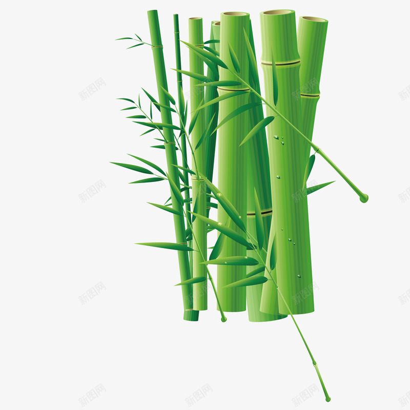 绿色竹子矢量图ai免抠素材_新图网 https://ixintu.com 植物 竹子 绿色 矢量图