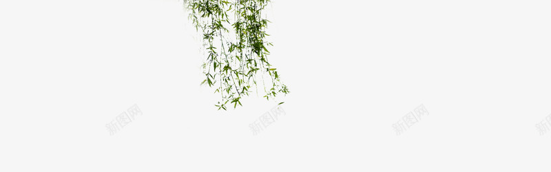 植物绿色竹子竹叶psd免抠素材_新图网 https://ixintu.com 植物绿色竹子竹叶