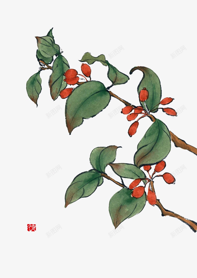 茱萸插画png免抠素材_新图网 https://ixintu.com 中药 免抠 免抠素材 插画 果实 枣皮 秋季 红色 茱萸 药材