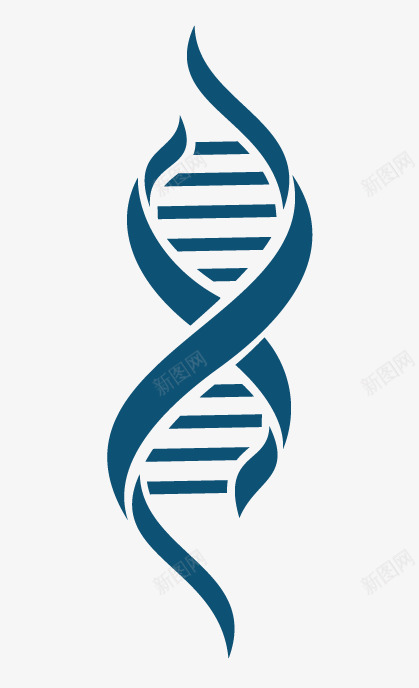 手绘蓝色DNA结构图png免抠素材_新图网 https://ixintu.com DNA 免抠图 抠图 插画 蓝色DNA 装饰画